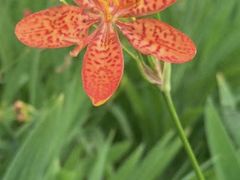 -星巴克(广州南站A18检票口楼上)