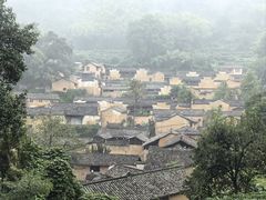 -杨家堂村