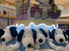 -东莞松山湖万象汇