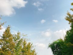 餐饮设施-成都大熊猫繁育研究基地