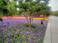 -上海市龙华烈士陵园