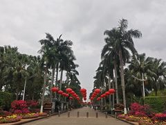 -万绿园