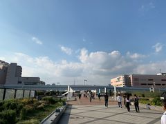 -台场海滨公园船码头