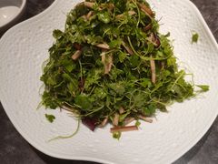 -新乾隆酒楼(帝景园店)