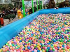 -天源吉布世温泉水乐园