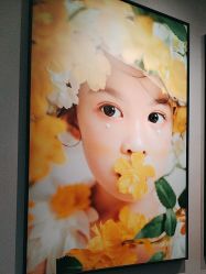 -大树儿童摄影