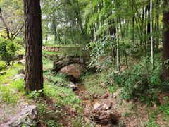 -竹上云想餐厅民宿