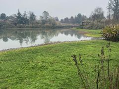 -桤木河湿地公园