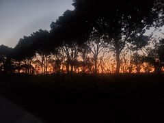 -春花秋色城市公园