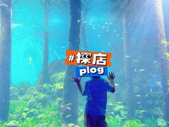 -石家庄海洋公园