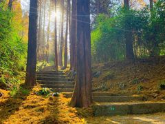 -山王坪喀斯特国家生态公园