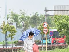 -九龙湖公园