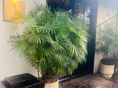 -月芽·自由餐厅·西溪湿地餐厅