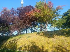 -元大都城垣遗址公园