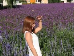 -紫海香堤香草艺术庄园