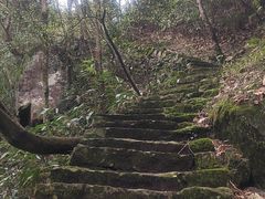 -安吉龙王山风景区