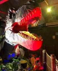 -恐龙探索乐园(磁器口店)