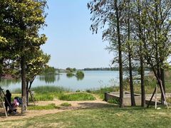 -贡湖湾湿地公园