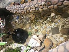 -馬蘭花開(车站大道店)
