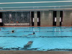 -DBSWIM深呼吸国际游泳培训(建国宾馆店)