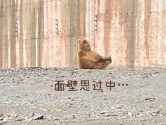 -新疆天山野生动物园