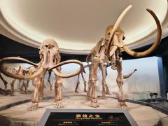 -大庆市博物馆