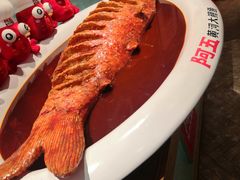 -阿五黄河大鲤鱼(英协路店)