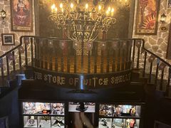 -雪灵魔法世界SHELLY’S TAROT(大良桂畔里店)
