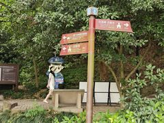 -南宋胡记(杭州灵隐寺店)