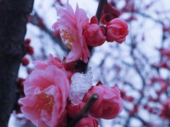 -北京明城墙遗址公园