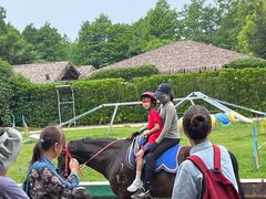 -上海野生动物园老虎餐厅