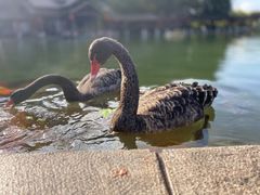 -湖泉水云间餐厅·弥勒地道菜(B座店)