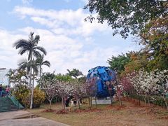 -观澜湖生态运动公社
