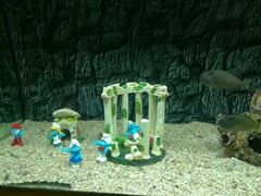 -北戴河圣蓝海洋公园