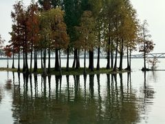 -贡湖湾湿地公园