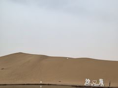 -桂花香手工面(鼓楼店)