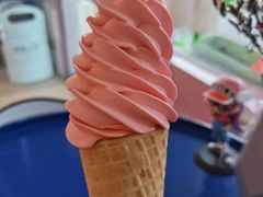 -萨朗刀克冰淇淋雪花凉(植物园店)
