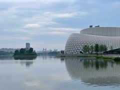 -金沙湖公园