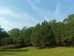-云岗森林公园