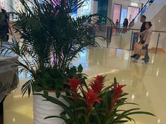 -天河城购物中心