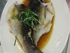 -广东道至正餐厅(区庄店)