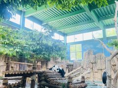 -泉州海丝野生动物世界