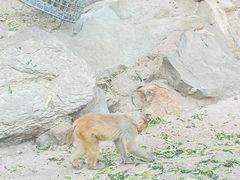 -北京动物园