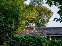 -旅马餐厅(茅家埠店)