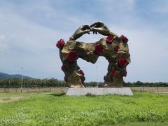 -亚龙湾国际玫瑰谷