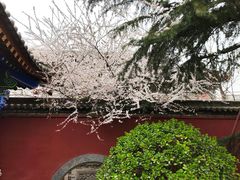 -西安市广仁寺
