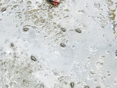 -北海金海湾红树林生态旅游区