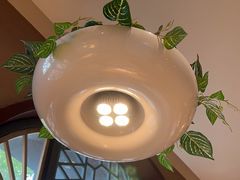 -吴满满油泼面(北方风味园店)