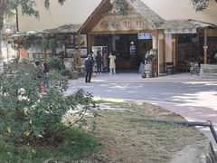 -仙岳公园