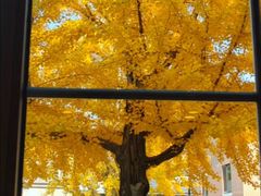 -天正河鲀·河豚亭(大连店)